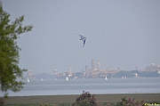 Parco San Giuliano  - 237